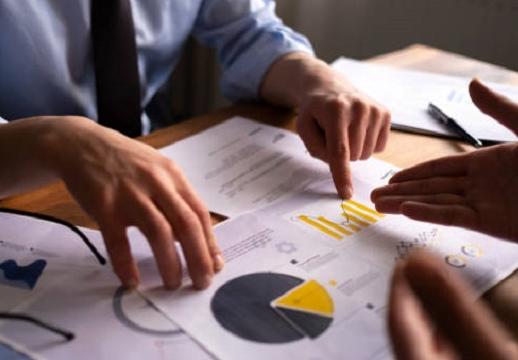 Auditing in Free Zones