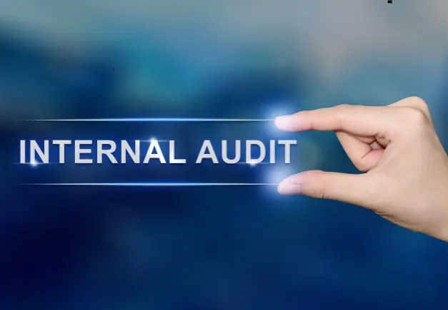 Internal Audit Services